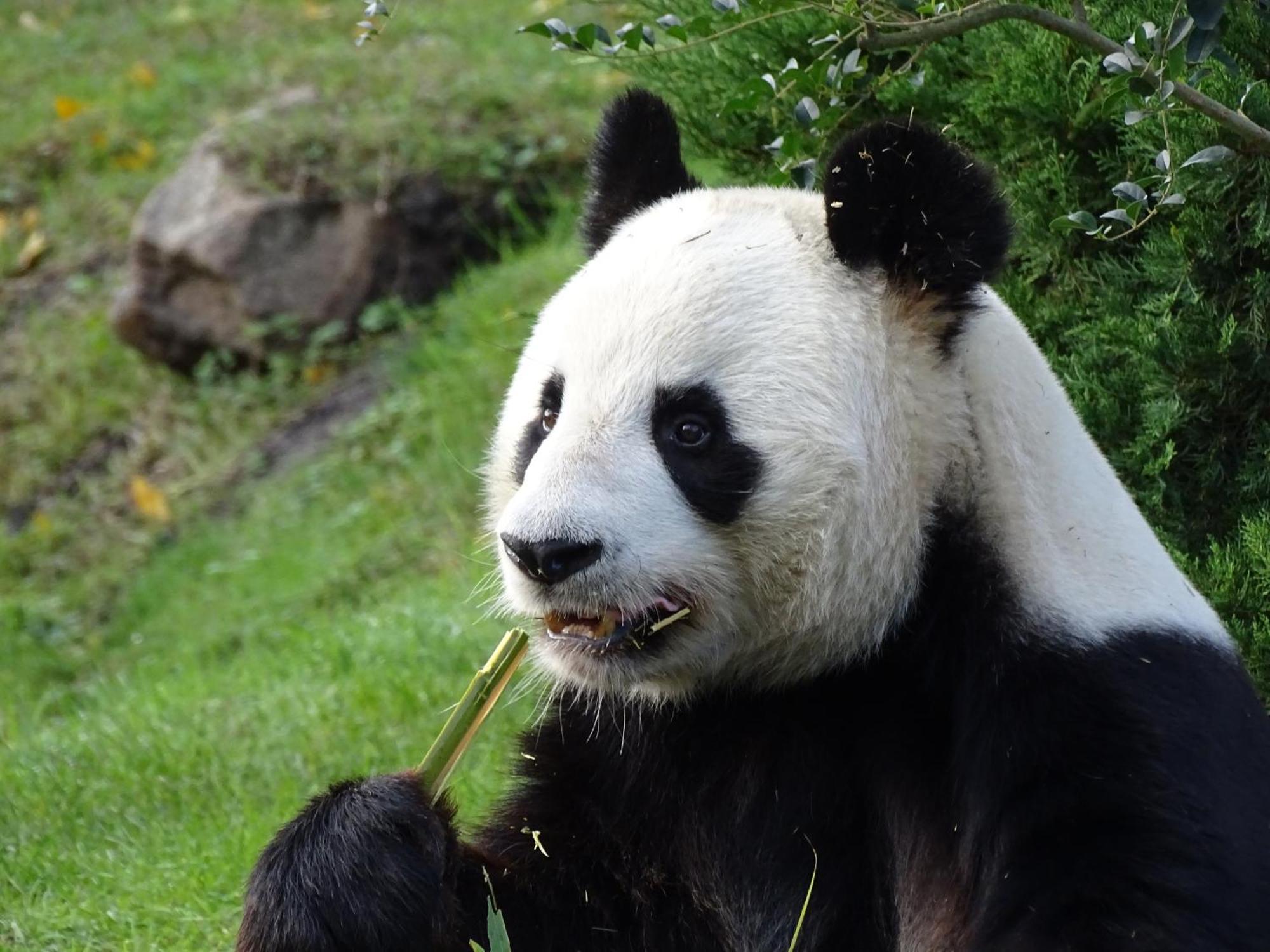 Trainefeuilles - Chambres D'Hotes Proche Zoo De Beauval Le Controis-en-Sologne 외부 사진